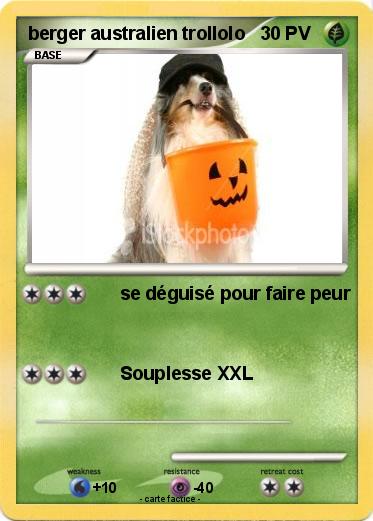 Pokemon berger australien trollolo