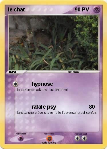 Pokemon le chat