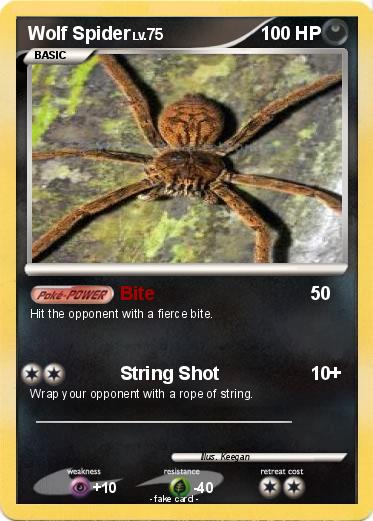 Pokemon Wolf Spider