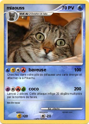 Pokemon miaouss