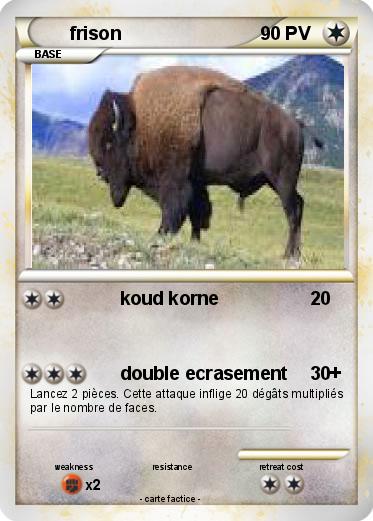 Pokemon frison