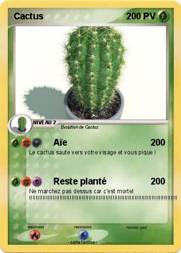 Pokemon Cactus