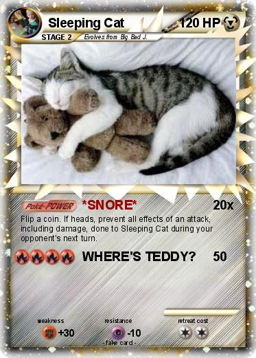 Pokemon Sleeping Cat