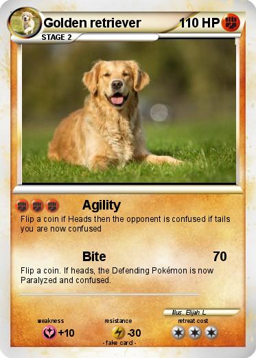 Pokemon Golden retriever