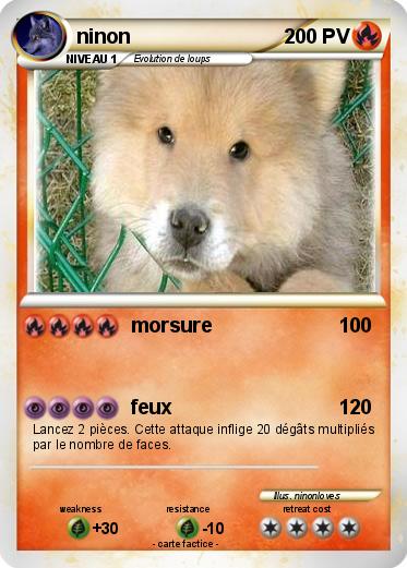 Pokemon ninon
