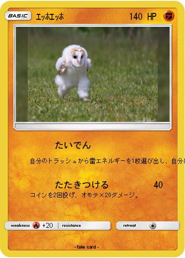 Pokemon ｴｯﾎｴｯﾎ