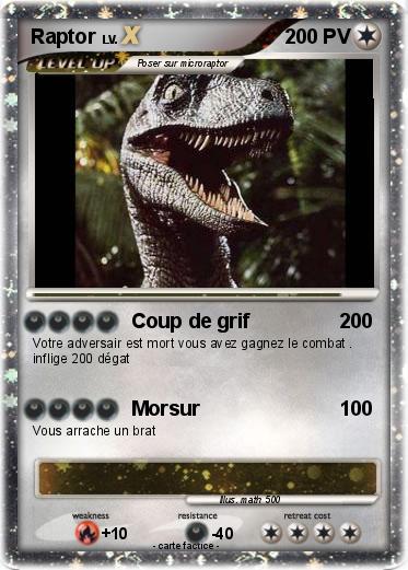 Pokemon Raptor
