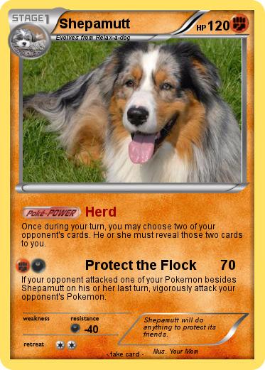 Pokemon Shepamutt