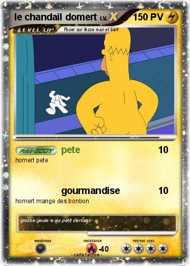 Pokemon le chandail domert