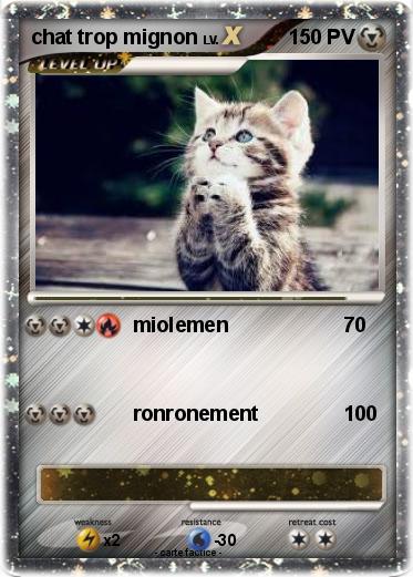 Pokemon chat trop mignon