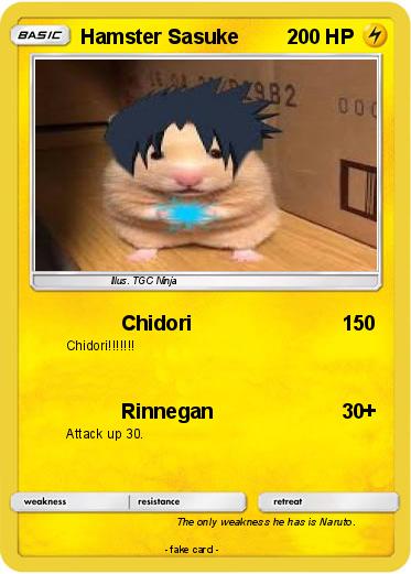 Pokemon Hamster Sasuke