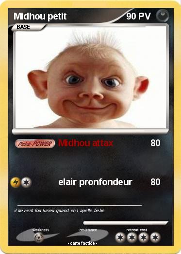 Pokemon Midhou petit