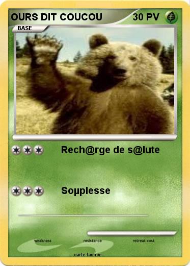Pokemon OURS DIT COUCOU