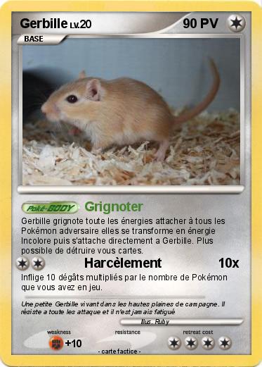 Pokemon Gerbille