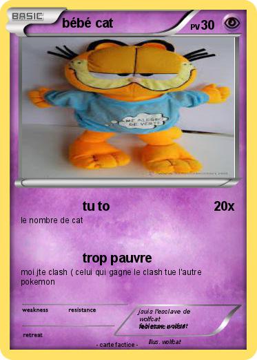 Pokemon bébé cat