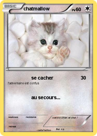 Pokemon chatmallow