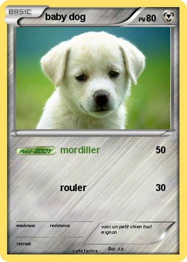 Pokemon baby dog