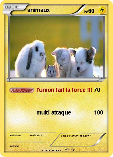 Pokemon animaux