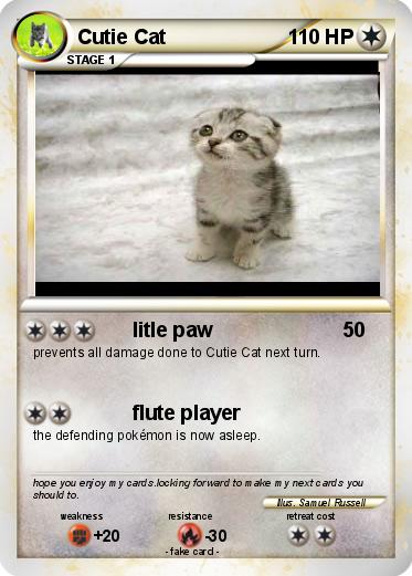 Pokemon Cutie Cat