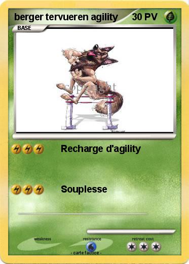 Pokemon berger tervueren agility