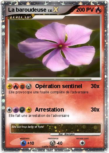 Pokemon La baroudeuse