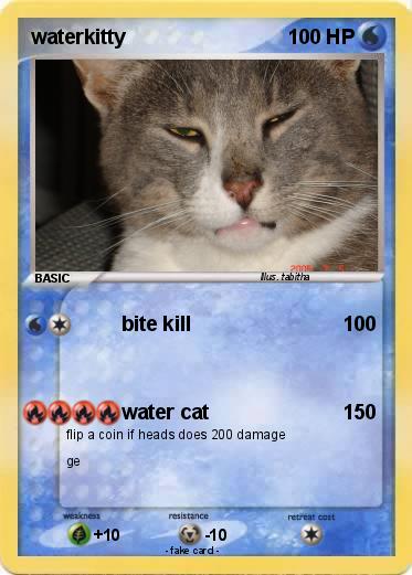 Pokemon waterkitty