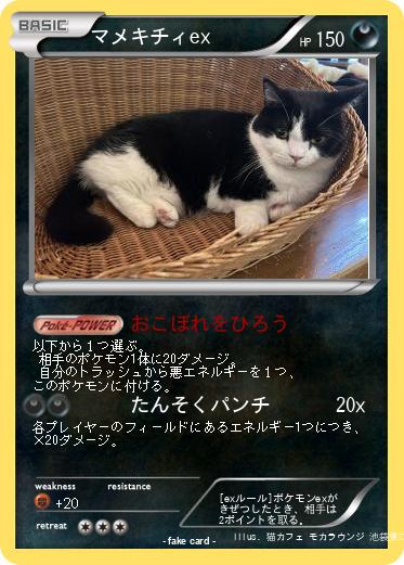 Pokemon マメキチィex