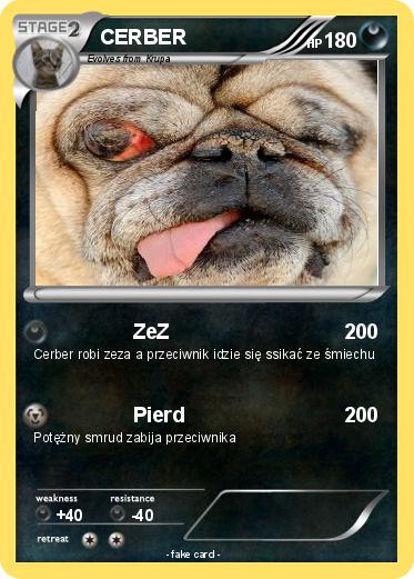 Pokemon CERBER