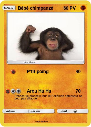 Pokemon Bébé chimpanzé