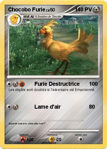Pokemon Chocobo Furie