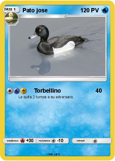Pokemon Pato jose