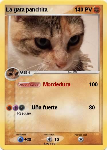 Pokemon La gata panchita