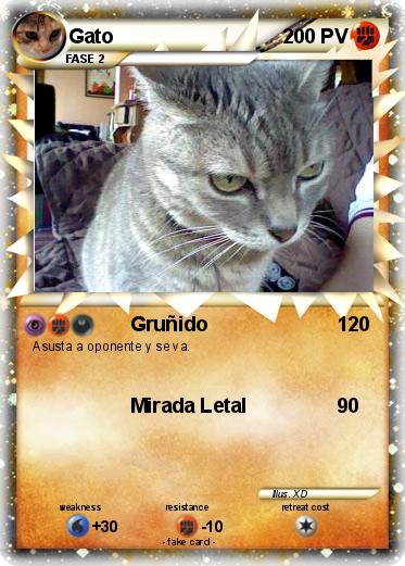 Pokemon Gato