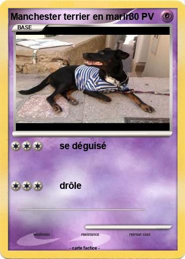 Pokemon Manchester terrier en marin
