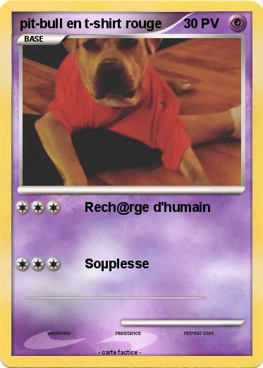 Pokemon pit-bull en t-shirt rouge
