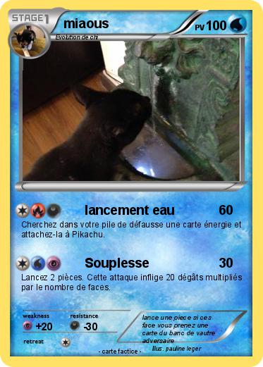 Pokemon miaous