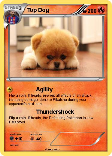 Pokemon Top Dog