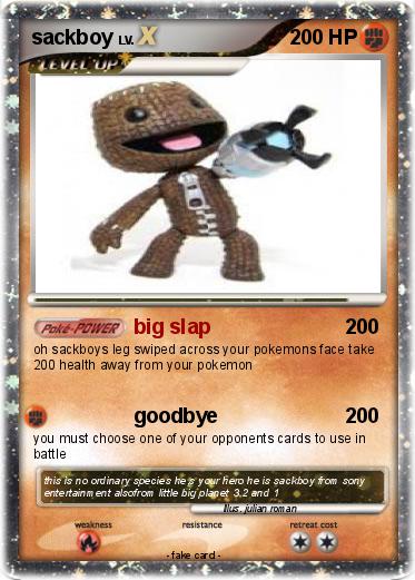Pokemon sackboy