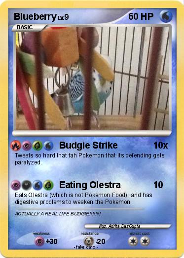 Pokemon Blueberry