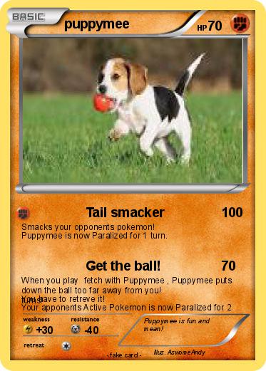 Pokemon puppymee
