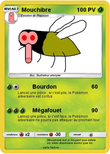 Pokemon Mouchibre