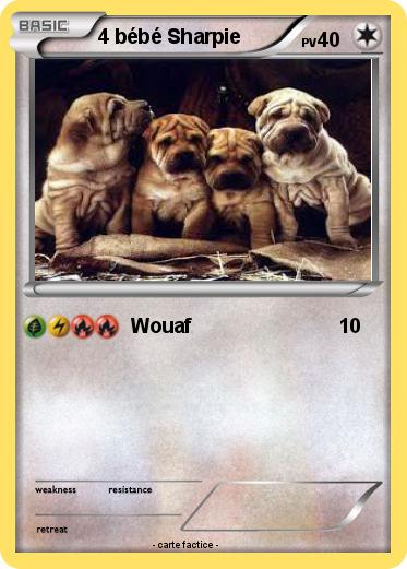 Pokemon 4 bébé Sharpie