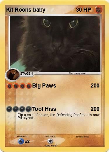 Pokemon Kit Roons baby