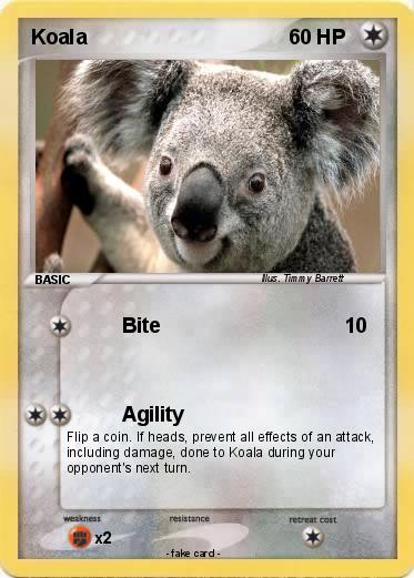 Pokemon Koala