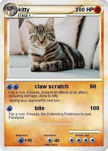 Pokemon kitty