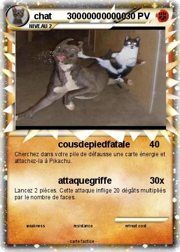 Pokemon chat      300000000000