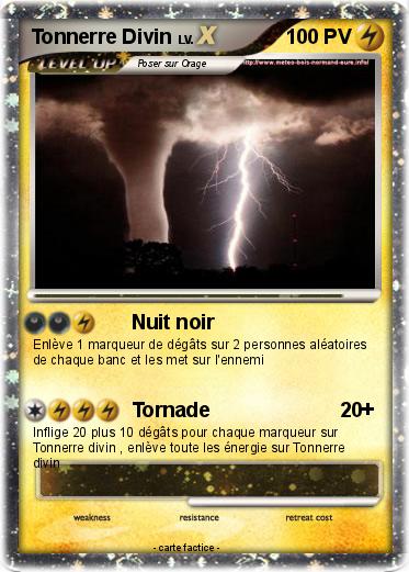 Pokemon Tonnerre Divin