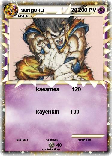 Pokemon sangoku                  202