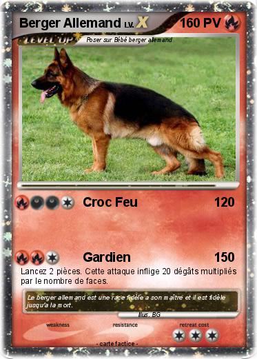 Pokemon Berger Allemand