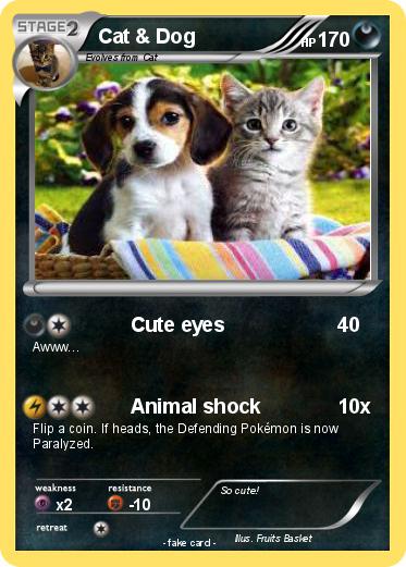 Pokemon Cat & Dog